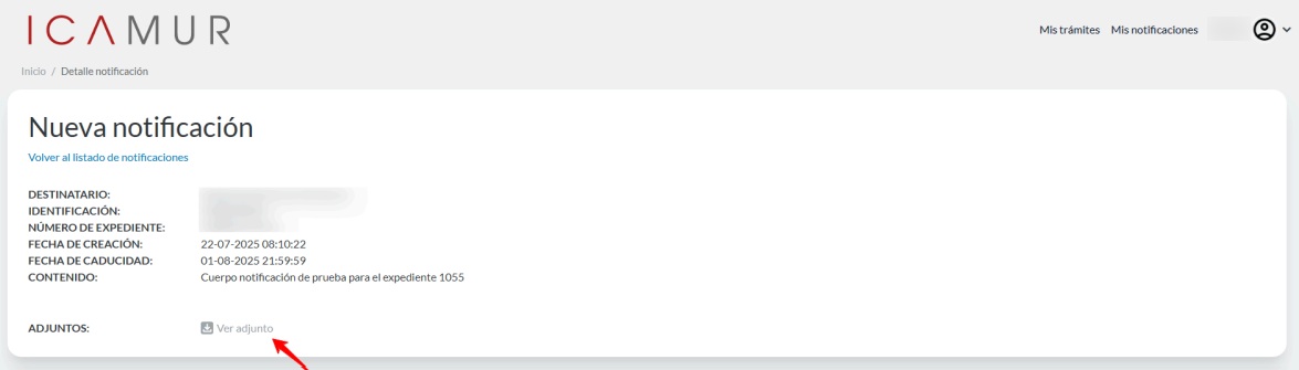 Leer notificación